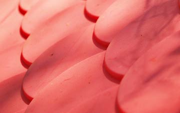 Tholomas Drove plastic roof costs